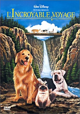 Pochette du DVD L'Incroyable voyage 