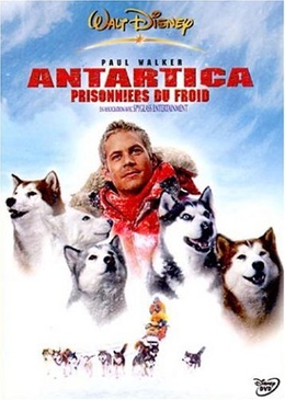 Pochette du DVD Antartica, prisonniers du froid 