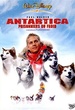 Antartica, prisonniers du froid 