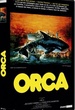 Orca 