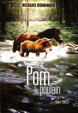 Pochette du DVD Pom le poulain 