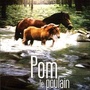 Pom le poulain