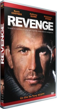 Pochette du DVD Revenge 