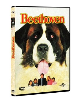 Pochette du DVD Beethoven 
