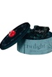 Coffret Twilight Chapitre 1 : double DVD collector  + 1 DVD avec séquences inédites - Edition ultime limitée 