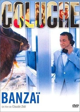 Pochette du DVD Banzaï 
