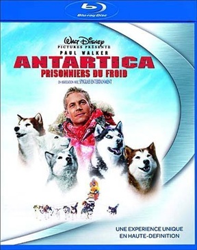 Pochette du DVD Antartica, prisonniers du froid [Blu-ray] 