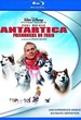 Antartica, prisonniers du froid [Blu-ray] 
