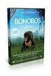 Bonobos 