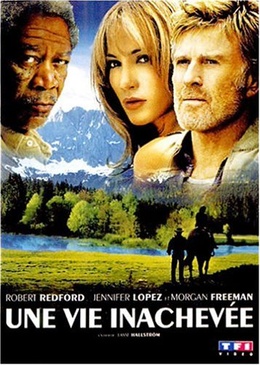 Pochette du DVD Une vie Inachevée 