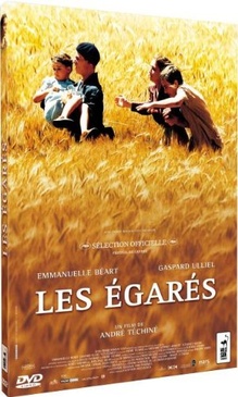 Pochette du DVD Les Egarés 