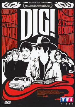 Pochette du DVD Dig ! 