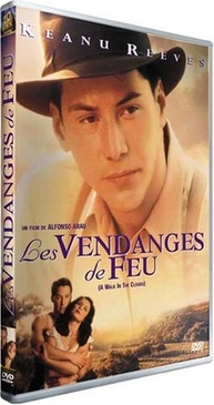 Pochette du DVD Les Vendanges de feu 