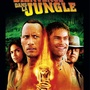 Bienvenue dans la jungle
