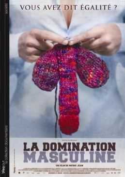 Pochette du DVD La domination masculine 