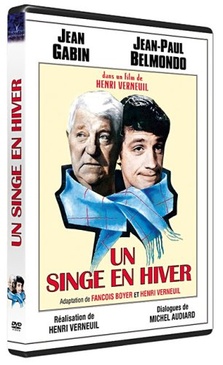 Pochette du DVD Un Singe en hiver 