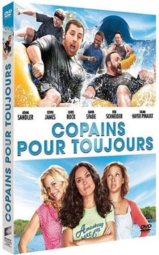 Pochette du DVD Copains pour toujours 