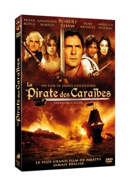 Pochette du DVD Le pirate des Caraibes 