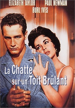 Pochette du DVD La Chatte sur un toit brûlant 