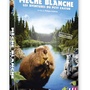 Mèche Blanche, les aventures du petit castor