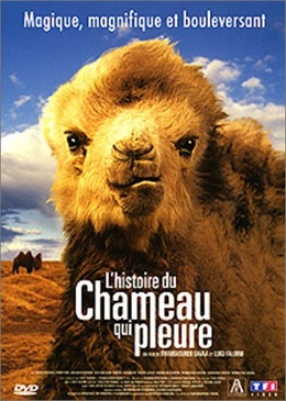 Pochette du DVD L'Histoire du chameau qui pleure 