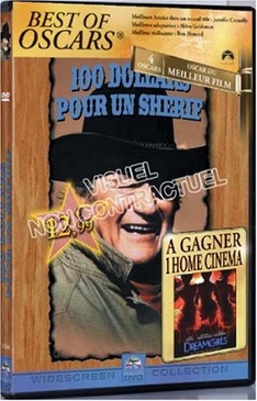 Pochette du DVD 100 dollars pour un shérif 