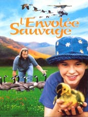 Affiche du film L'envolée sauvage