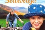 Affiche du film L'envolée sauvage
