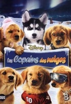 Affiche miniature du film Les Copains Des Neiges