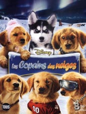 Affiche du film Les Copains Des Neiges