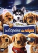 Affiche du film Les Copains Des Neiges