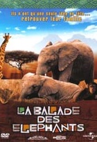 Affiche miniature du film La balade des éléphants