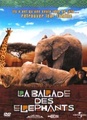 La balade des éléphants