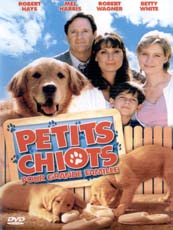 Affiche du film Petits Chiots Pour Grande Famille