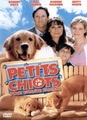 Petits Chiots Pour Grande Famille