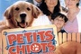 Affiche du film Petits Chiots Pour Grande Famille