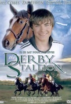 Affiche miniature du film The Derby Stallion