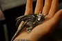 un dragon