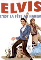 Affiche miniature du film C'est La Fête Au Harem