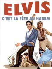 Affiche du film C'est La Fête Au Harem