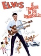 Affiche du film Le tombeur de ces demoiselles