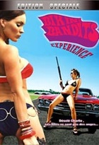 Affiche miniature du film Bikini Bandits