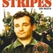 Affiche du film Stripes - Les Bleus - Stripes - Les Bleus 