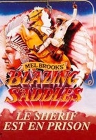 Affiche miniature du film Le shérif est en prison
