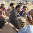 cluzet dujardin cotillard arbillot bonneton