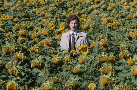 Julien Dor   tournesols