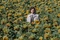Julien Dor   tournesols