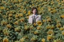 Julien Dor   tournesols