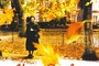 Affiche du film Vera Drake