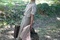 Sylvie Testud